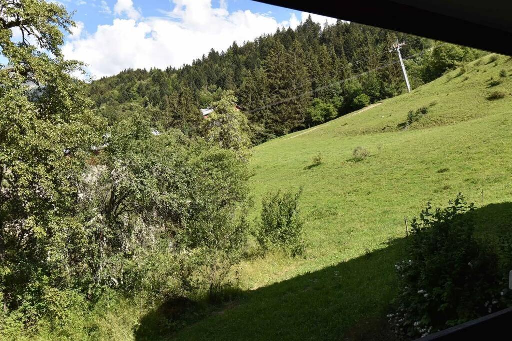 Les Cimes, Chaleureux Studio 4 Pers, 50M Du Telecabine, Vue Degagee Sur Les Pistes, Draps Non Compris Saint-Jean-dʼAulps Exteriör bild